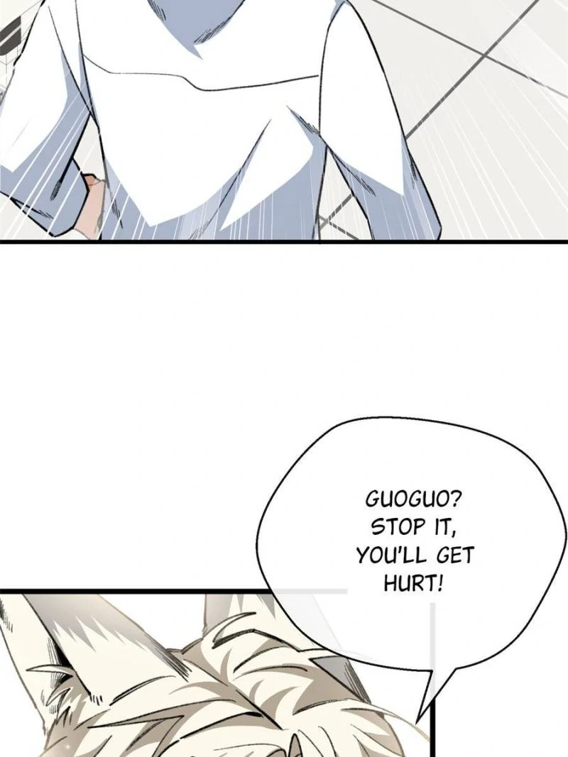 80990460 800 1067 56392