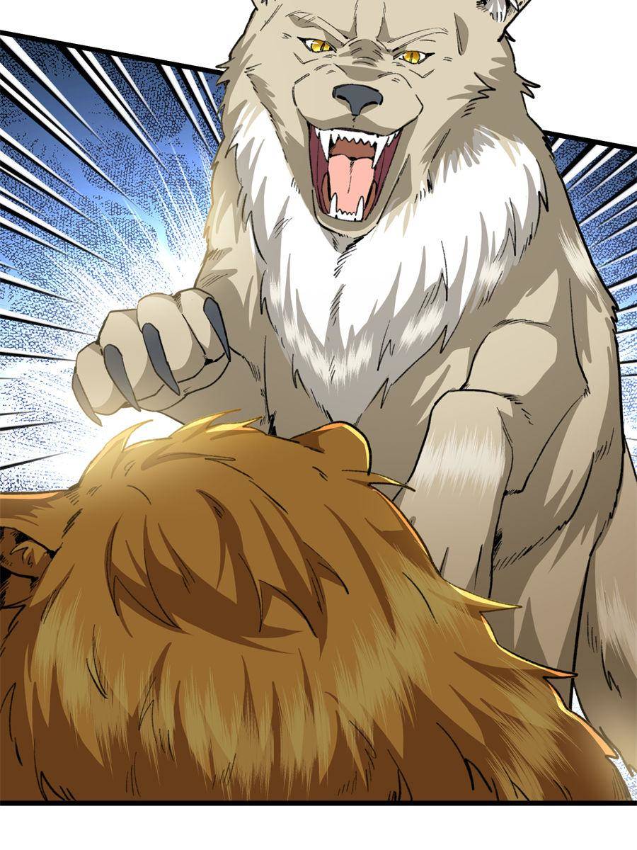 81490559 900 1200 174037