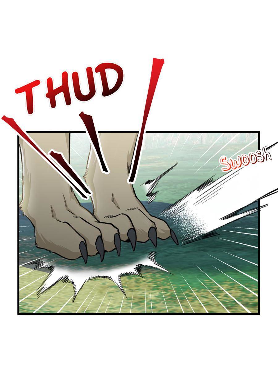 80204622 900 1200 97609