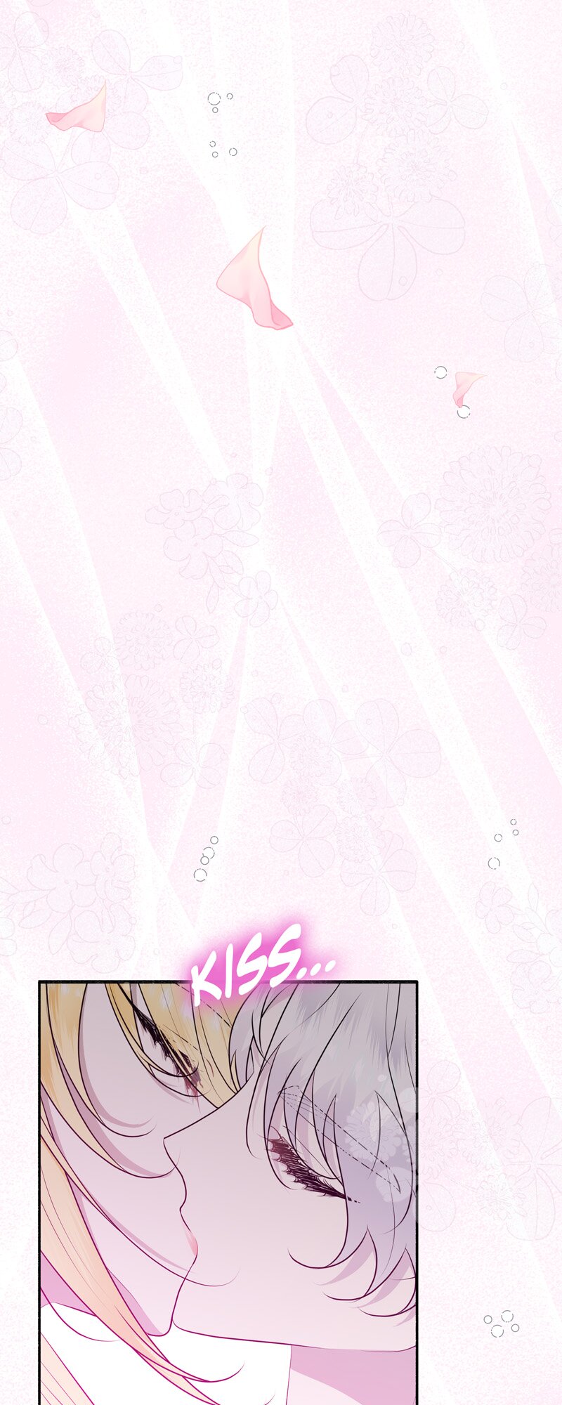 56316609 800 2000 235133